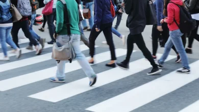 Bulgaristan hükümeti, yurtdışında yaşayan vatandaşlarını ülkeye geri çekmek için kapsamlı bir destek paketi hazırladı.
