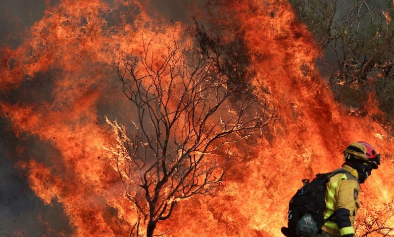 Rila Dağları’nda, İliyina Nehri üzerindeki Çauşkite Dupki mevkisinde 9 Eylül’de başlayan orman yangınında söndürme çalışmaları hâlâ devam ediyor.