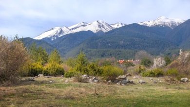 2013’te kaybolduktan sonra ölü ilan edilen Boyan Ivanov, Pirin Milli Parkı’nda çadır kurarken bulundu.