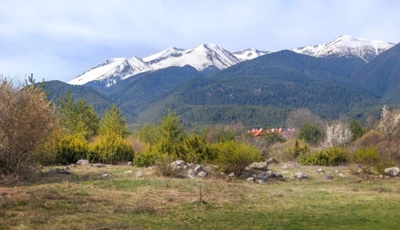 2013’te kaybolduktan sonra ölü ilan edilen Boyan Ivanov, Pirin Milli Parkı’nda çadır kurarken bulundu.