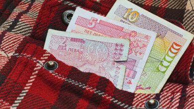 IMF’nin 2025 Bulgaristan raporu, ekonomide büyümenin sürdüğünü ancak düz vergi sisteminin kamu hizmetlerini finanse etmekte yetersiz kaldığını ortaya koydu.