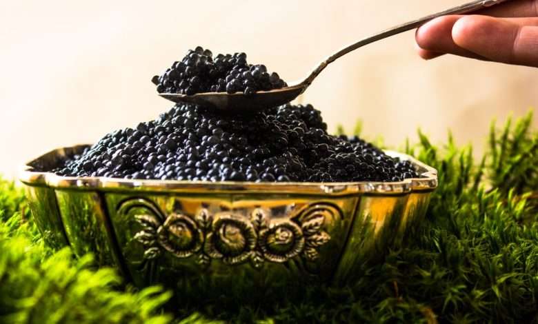 Bulgaristan, 2025 yılında 15 tonluk ihracat ve 25 milyon euroyu aşan gelirle siyah havyarda Fransa ve İtalya’yı geride bırakarak Avrupa’nın zirvesine yerleşti.