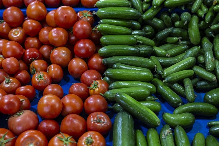 Bulgaristan’da bazı sebzelerde dikkat çekici artışların gıda endeksini yukarı çekti. Zam şampiyonu ise salatalık ve domates...