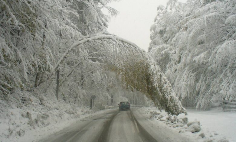 Bulgaristan’ın bazı bölgelerinde kar kalınlığının 10–20 santimetreye ulaşması beklenirken, yeni haftanın ilk günlerinde sıcaklıklar eksi derecelerde seyredecek.