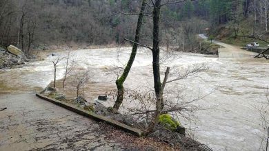Bulgaristan’da şiddetli yağışların ardından Ardino Belediyesi, bazı yerleşim yerlerinde olağanüstü hal ilan etti.