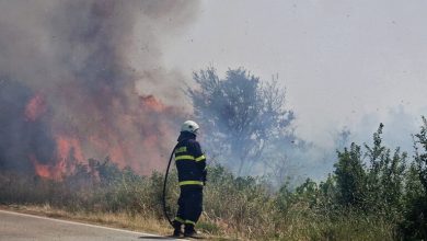 Bulgaristan’ın Pazarcık kenti yakınlarında başlayan yangın, Trakya Otoyolu’nun 69’uncu kilometresine kadar ulaştı